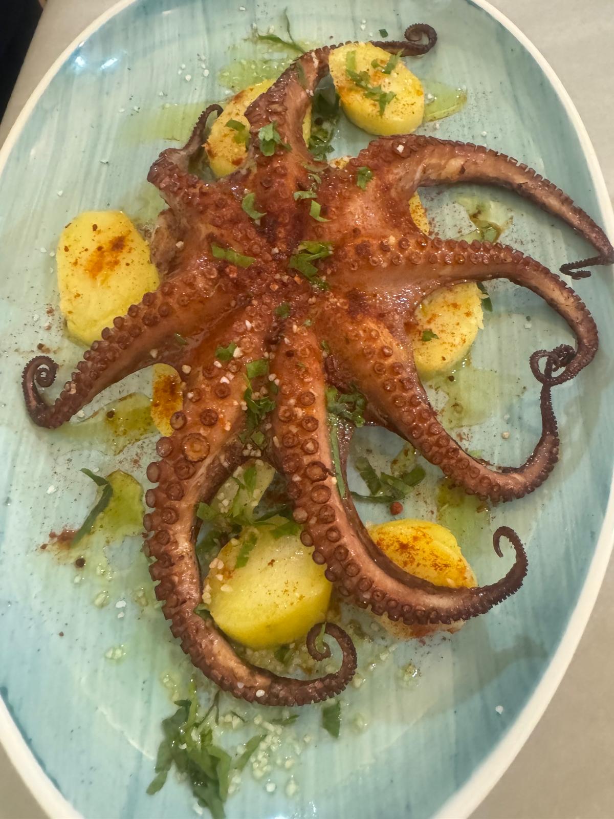 Pulpo